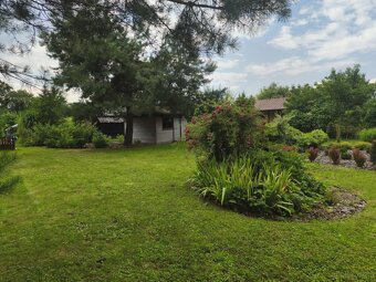 ROD "Słonecznik" Tarnów ul. Ostrogskich - 8