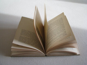 Ivanhoe, Walter Scott - 8