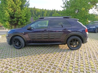 C 4 cactus - 8