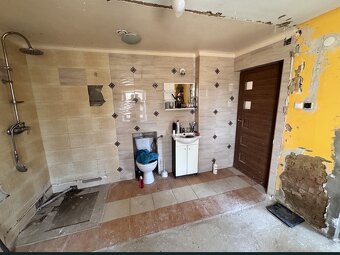 Dom z dużą działką przy polsko-czeskiej granicy - 8