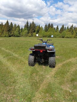 Polaris Magnum 325 - 8