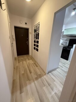 2 pokoje parter Poznań Grunwald - 8
