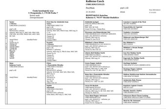 Schnauzer miniaturny p+s - 8