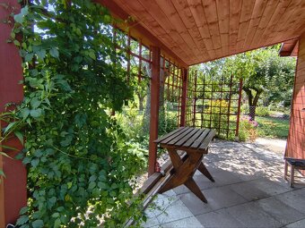 Urokliwa działka ROD "Kopernik" - 8