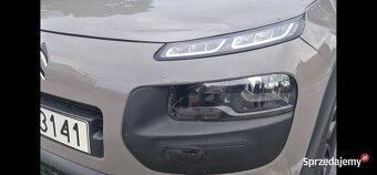 Cactus Sprawdz go w  warsztacie na godziny tel. 519 853 348 - 8