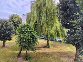 Mieszkanie o pow.27.30 m2, I piętro, po remoncie,Os.Kaliniec - 8