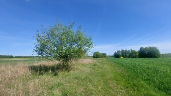 Działka rolno-budowlana, woj. lubelskie - 8