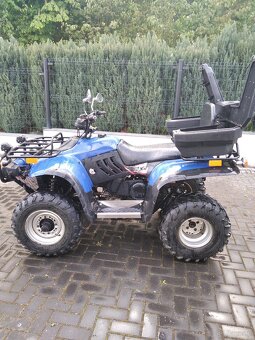Quad - 8