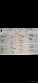 Gończy Słowacki KOPOV ZKwP FCI - 8