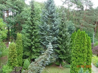 Dom wśród zieleni przy lesie - 8