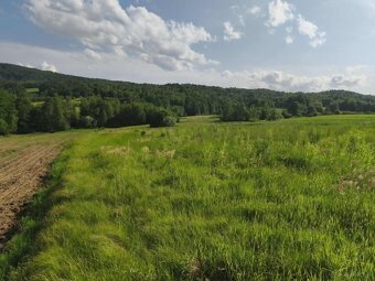 Lipnica Dolna-malownicze miejsce z potencjałem inwestycyjnym - 8