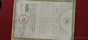 Skrzypce 4/4 z Pracowni Lutniczej Stelmach - 8