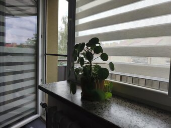 Dwupokojowe mieszkanie na Brandstaettera - 8