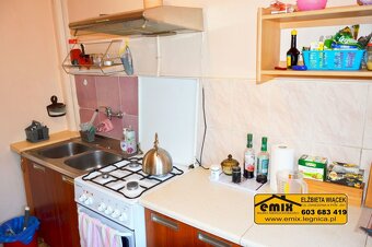 2 pokojowe mieszkanie na I piętrze - Legnica - 8