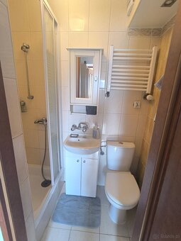 kawalerka 28m2  ładna, dobry dojazdi spokojna okolica - 8