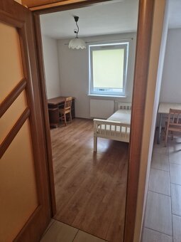 Wynajmę mieszkanie w Śródmieściu - 8