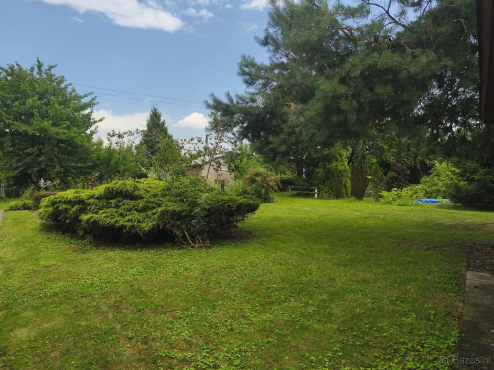 ROD "Słonecznik" Tarnów ul. Ostrogskich - 9