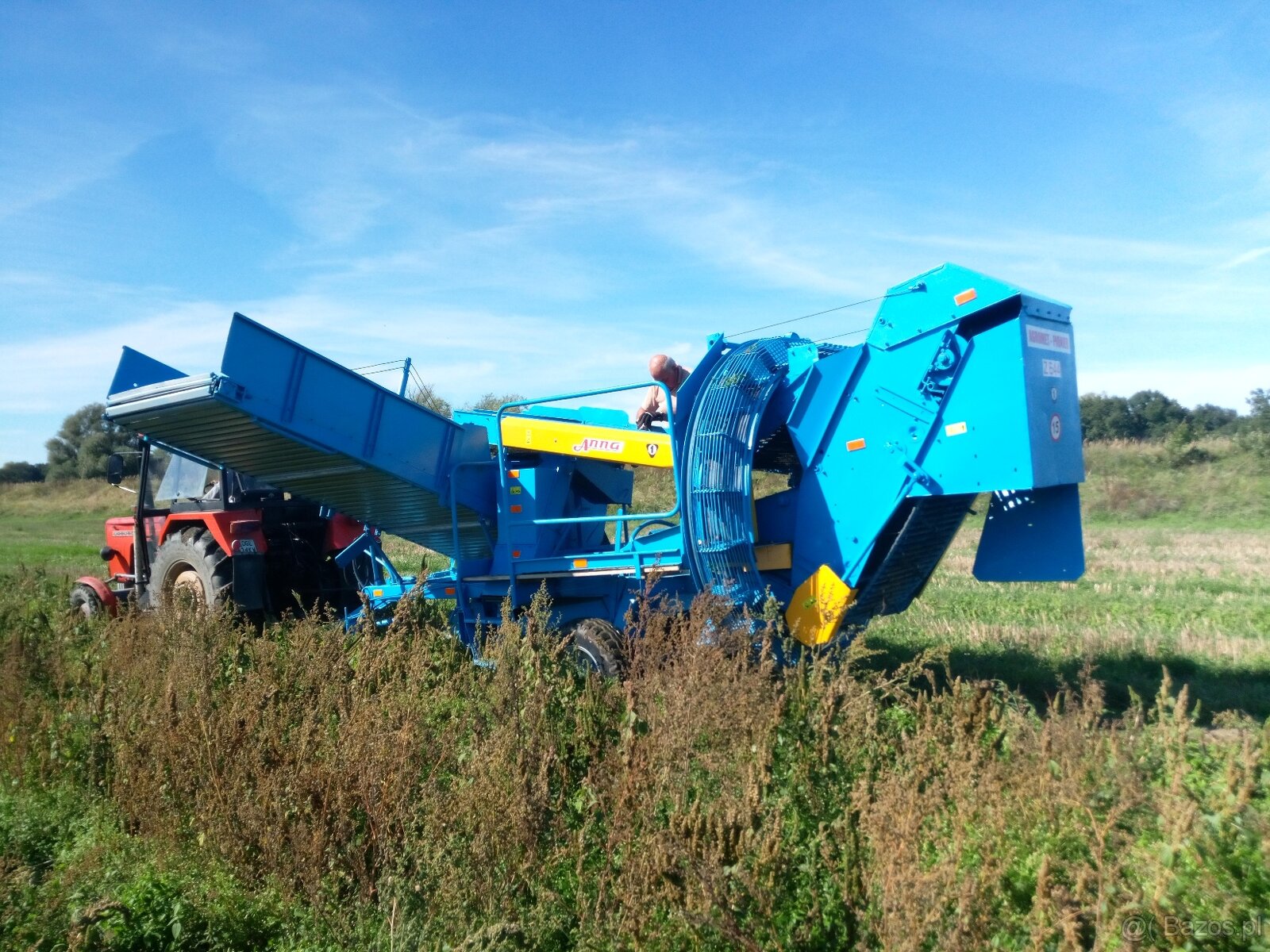 Kombajn do ziemniaków Anna z 644 - 9