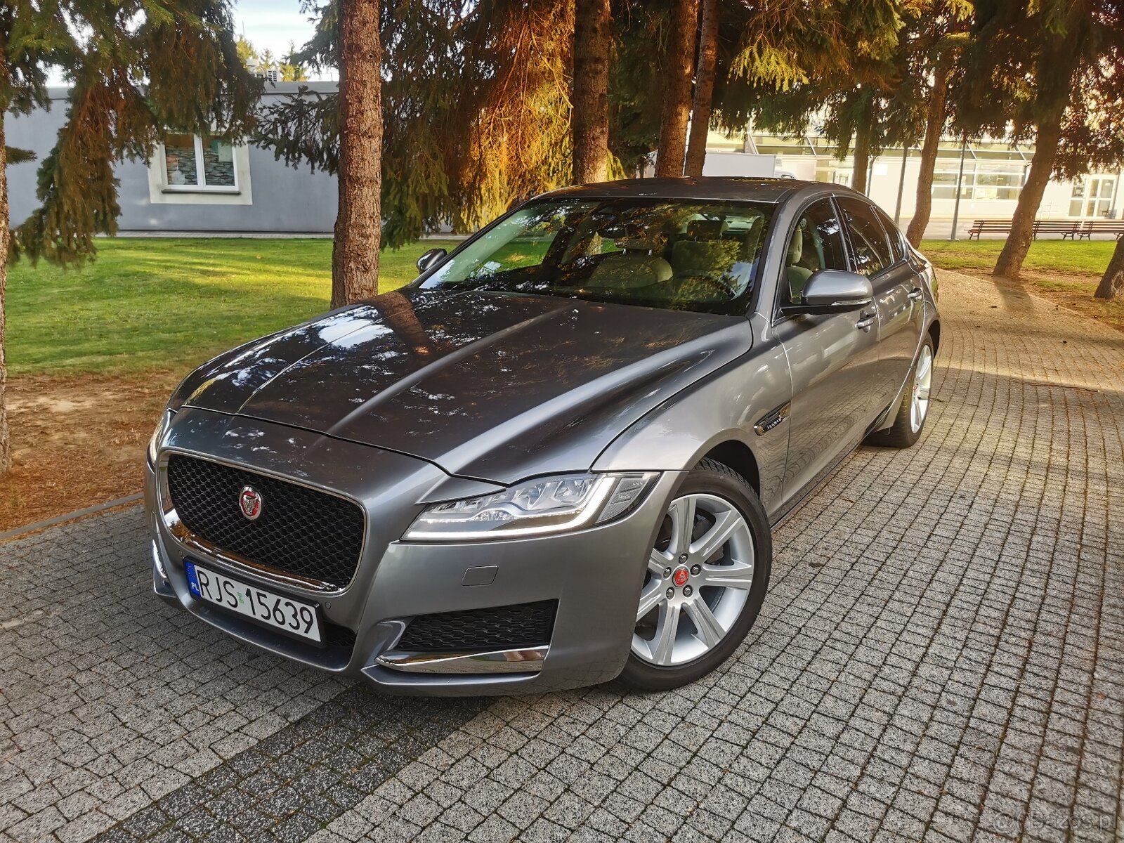 Jaguar xf 2019r Full led - 9