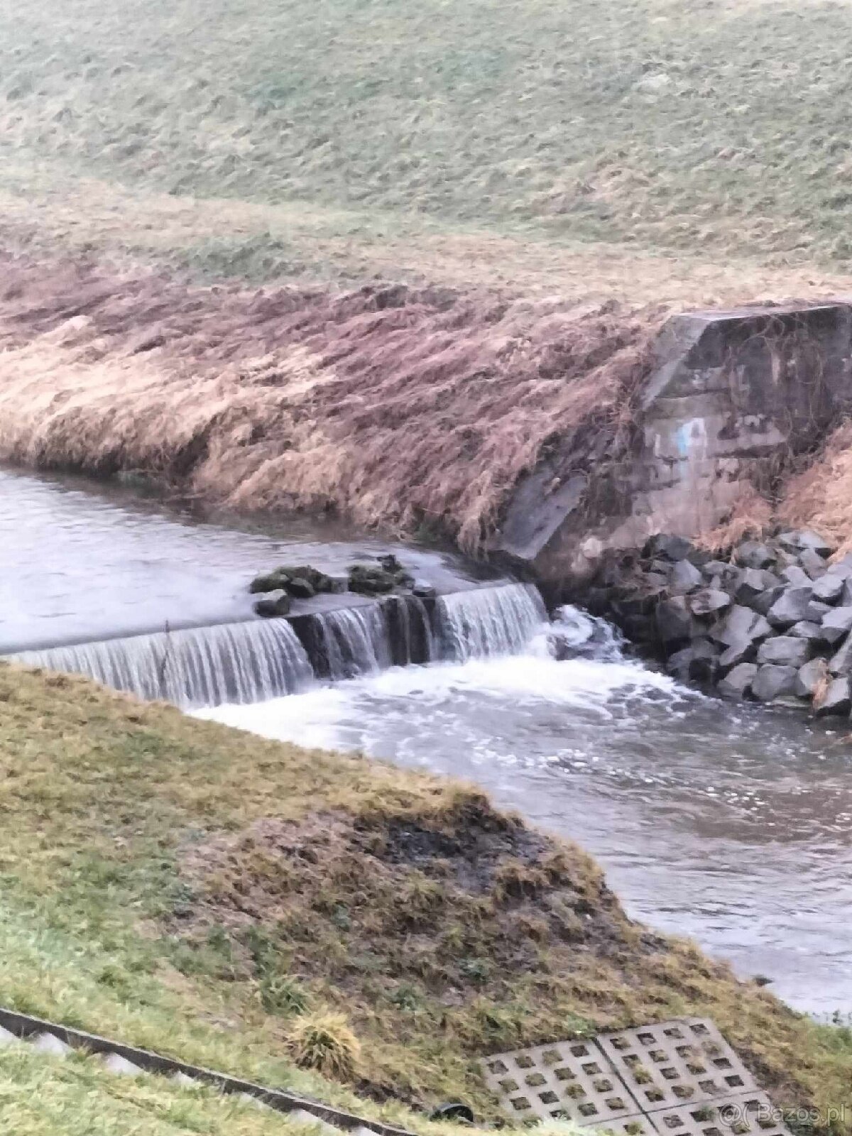 Cztery działki rolne - Okleśna, gm. Alwernia - 9