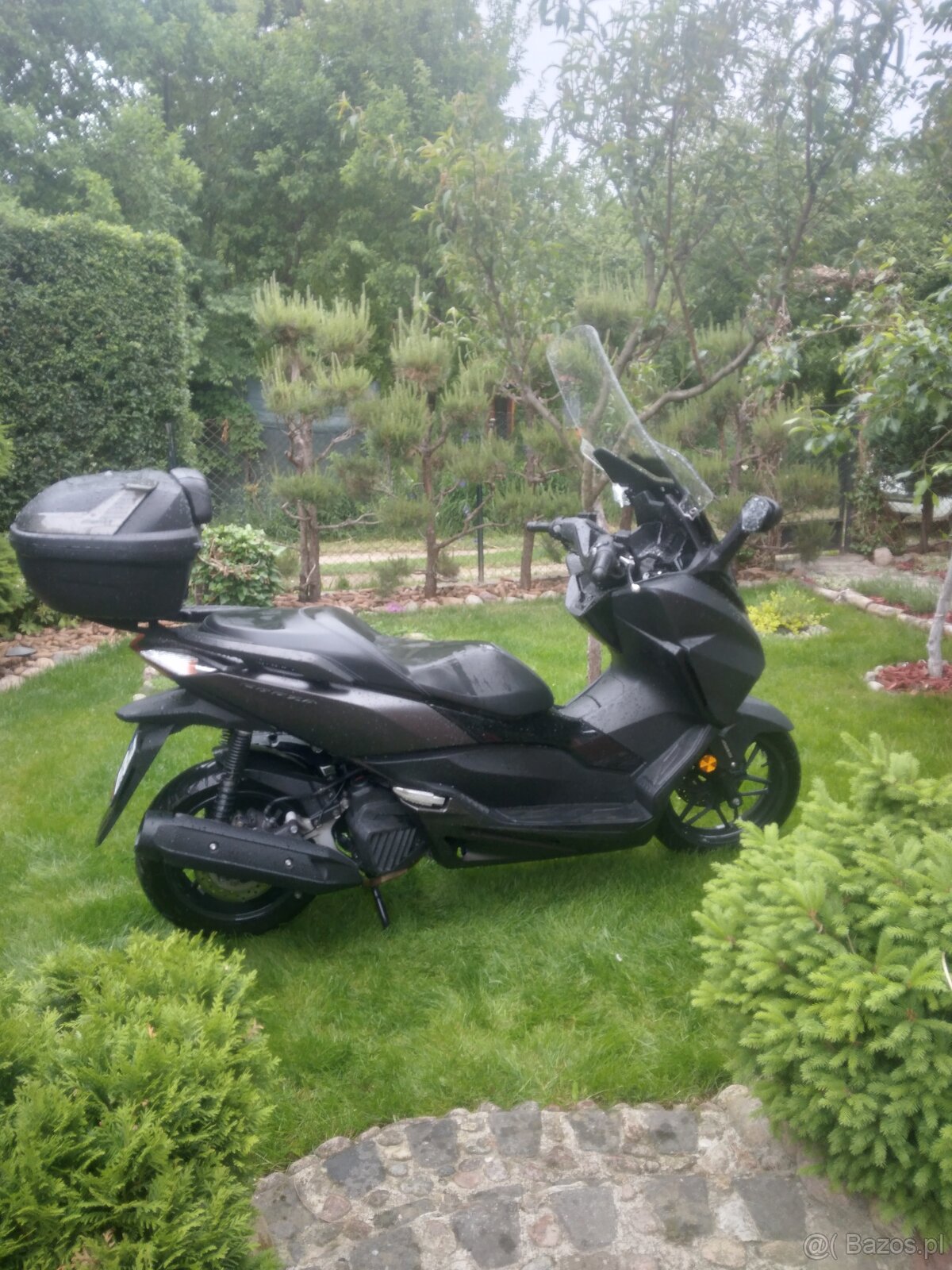 Honda forza 125 ładna - 9