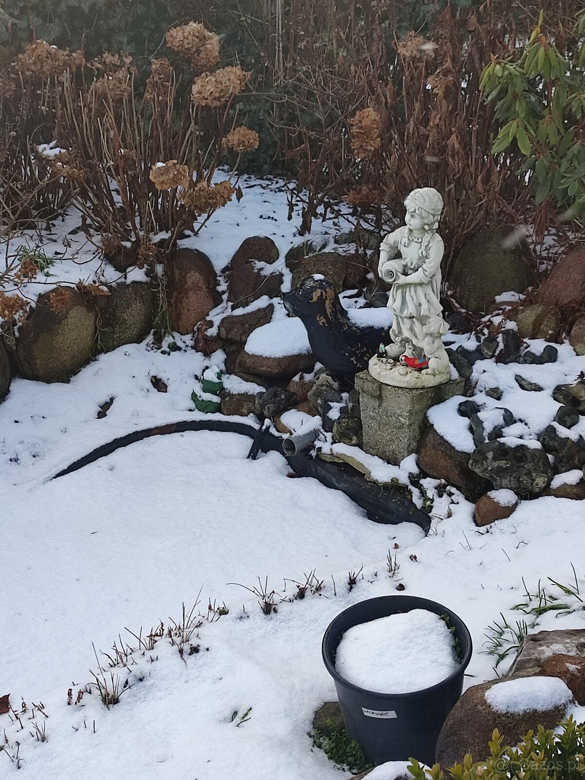 Sprzedam działkę ROD Stokrotka Klucze - 9