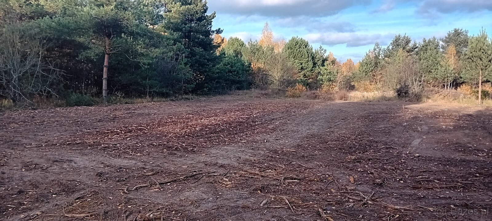 Atrakcyjna działka z dostępem do mediów (światłowód) w drodz - 9