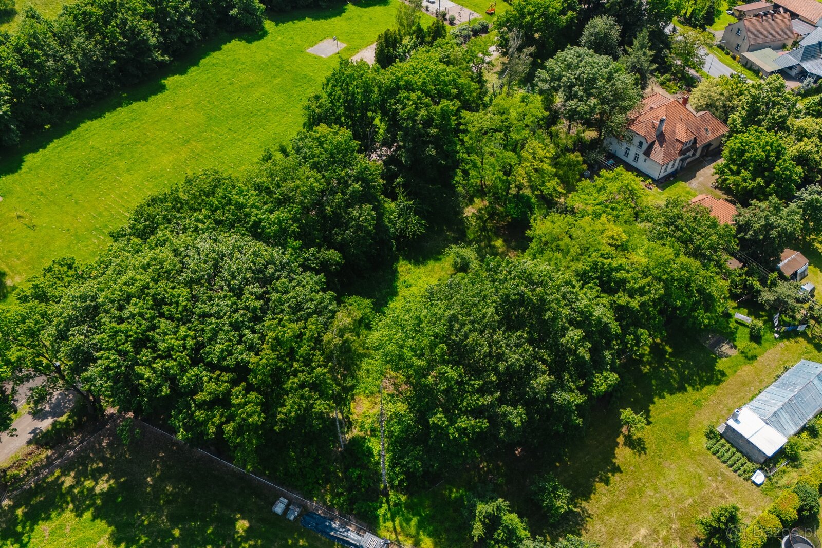 Działka pod inwestycję mieszkaniową, Zajączków - 9