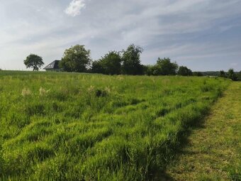 Lipnica Dolna-malownicze miejsce z potencjałem inwestycyjnym - 9
