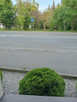 Sprzedam mieszkanie w centrum Cieplic. - 9