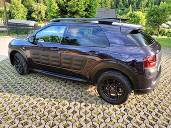 C 4 cactus - 9