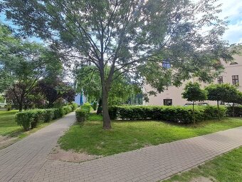 Mieszkanie o pow.32.29m2, I piętro, winda, do remontu,Kalisz - 9