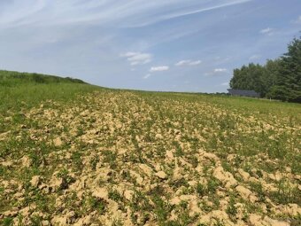 Działka budowlana w miejscowości Siedliska - 9