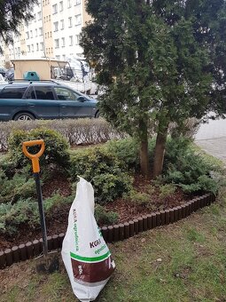 Kompleksowe ogrodnictwo, pielęgnacja i wycinka drzew - 9