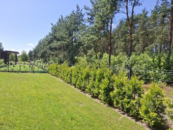 Twój azyl blisko lasu – dom 84 m², Józefina, 599 000zł - 9