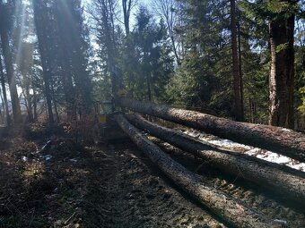 Ciagnik leśny skider welte 115 loglift - 9
