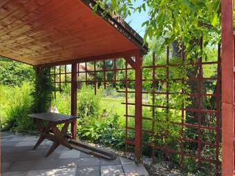 Urokliwa działka ROD "Kopernik" - 9