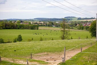 stajnie dla koni, źrebiąt i emerytów - 9