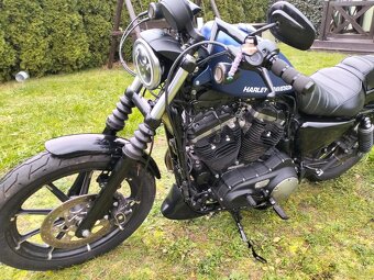 Harley Davidson sportster Iron - 9