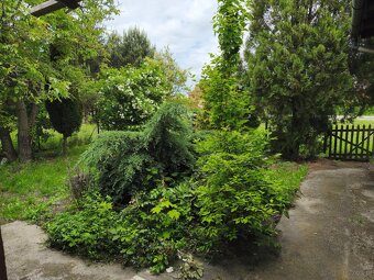 Dom w zielonej i spokojnej miejscowości - 9