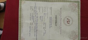 Skrzypce 4/4 z Pracowni Lutniczej Stelmach - 9