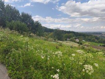 Działka budowlana z widokiem na Tarnów – Pleśna - 9