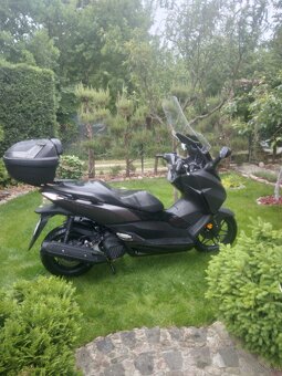 Honda forza 125 ładna - 9