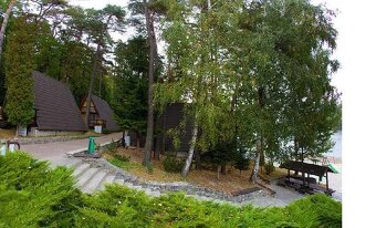 Sprzedaż OSW Złoty Sen w Złotnikach Lubańskich - 9