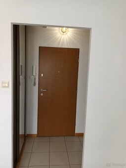 Do wynajecia mieszkanie31m kawalerka - 9