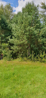 Sprzedam działki - 9