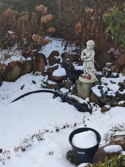 Sprzedam działkę ROD Stokrotka Klucze - 9