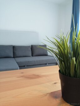 Kawalerka w Centrum Rakowicka 20J - 9