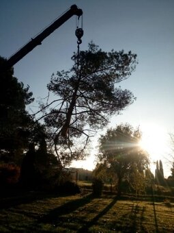 Opróżnianie mieszkań, Wywóz śmieci, złomu, itp. - 9